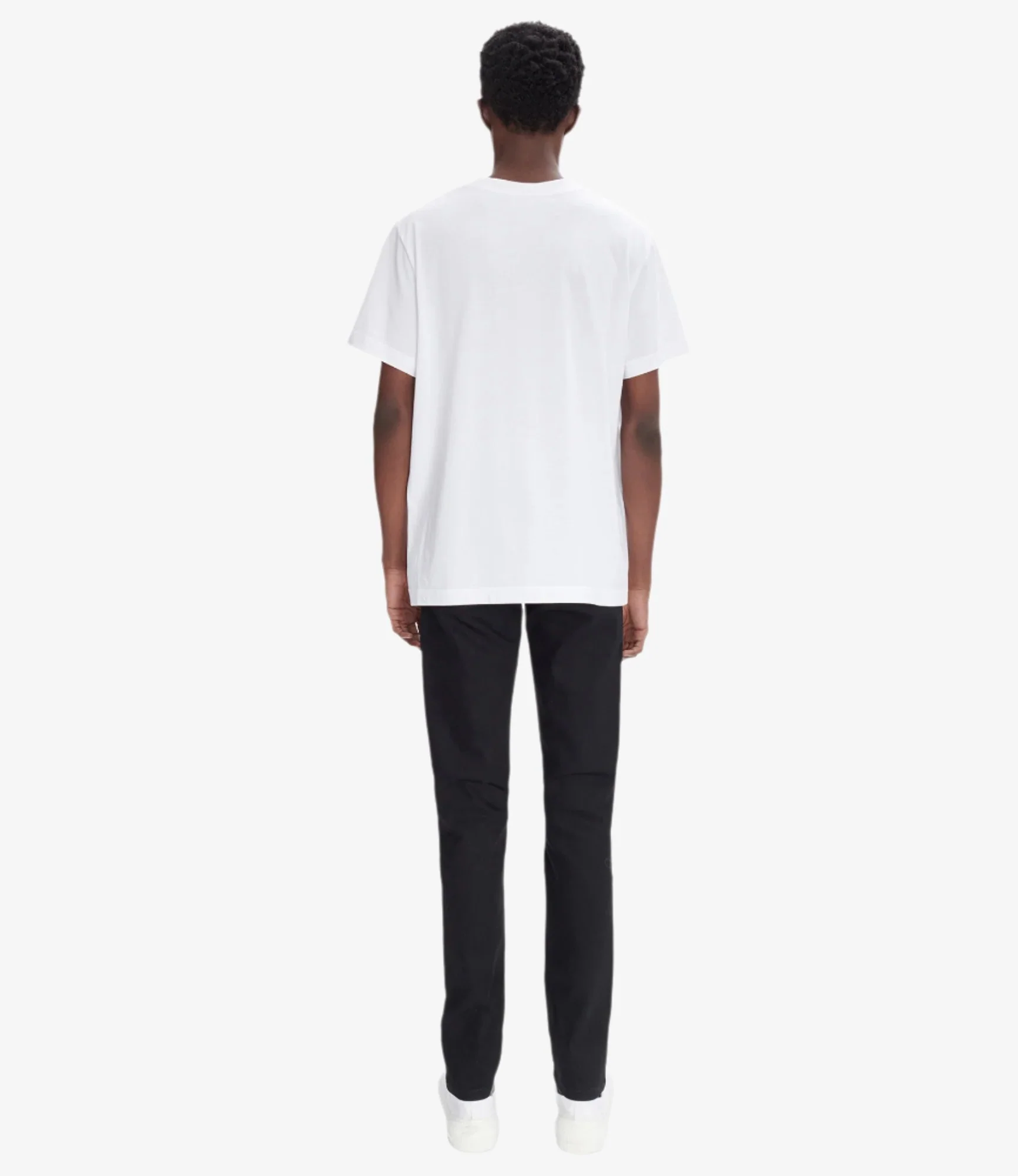 Petit New Standard (M)