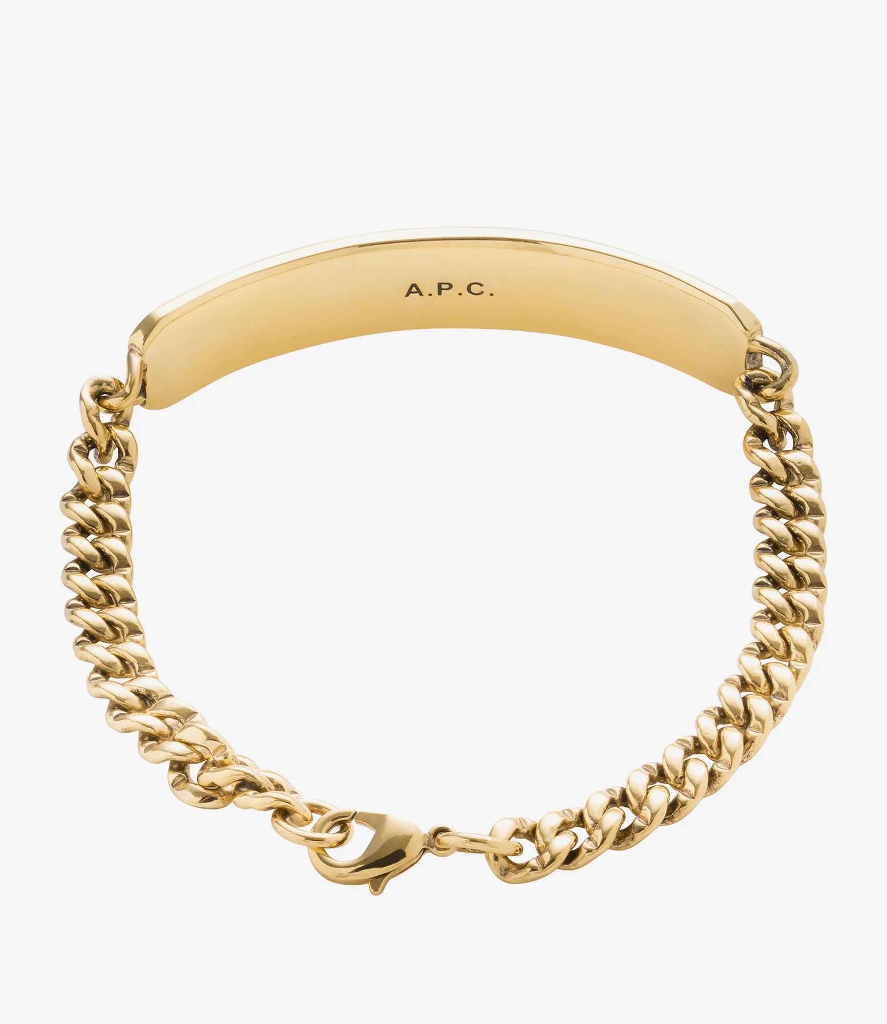 Darwin curb chain bracelet