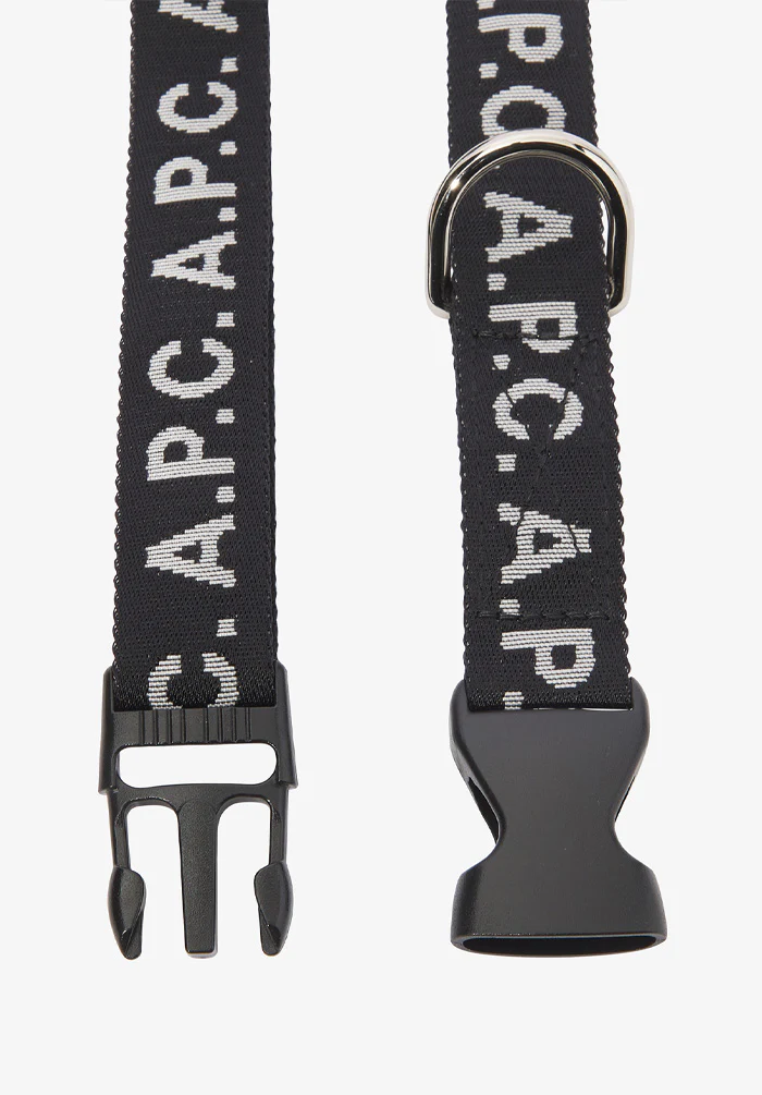 Toutou Logo collar