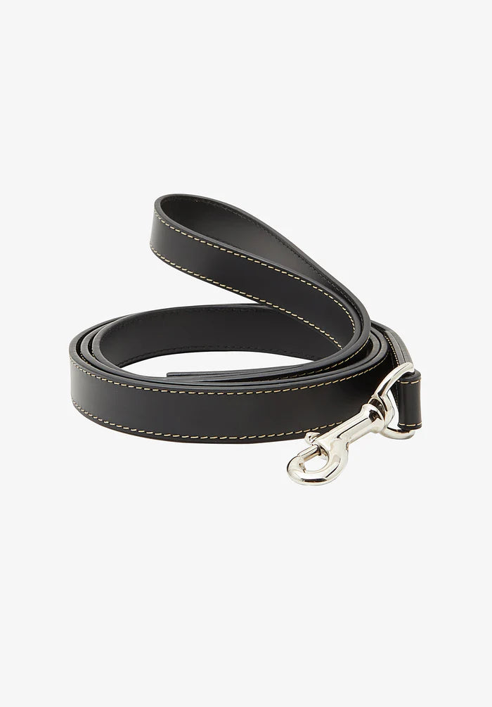 Toutou leather leash