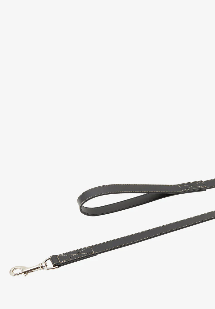 Toutou leather leash