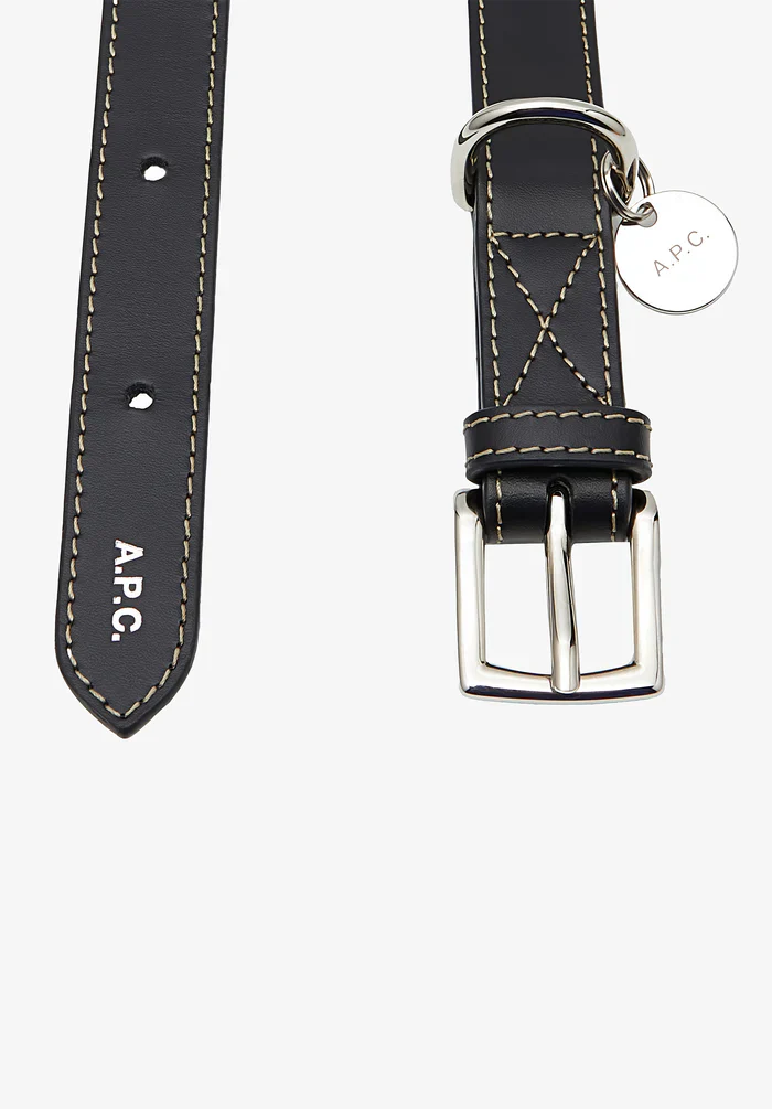 Toutou leather collar