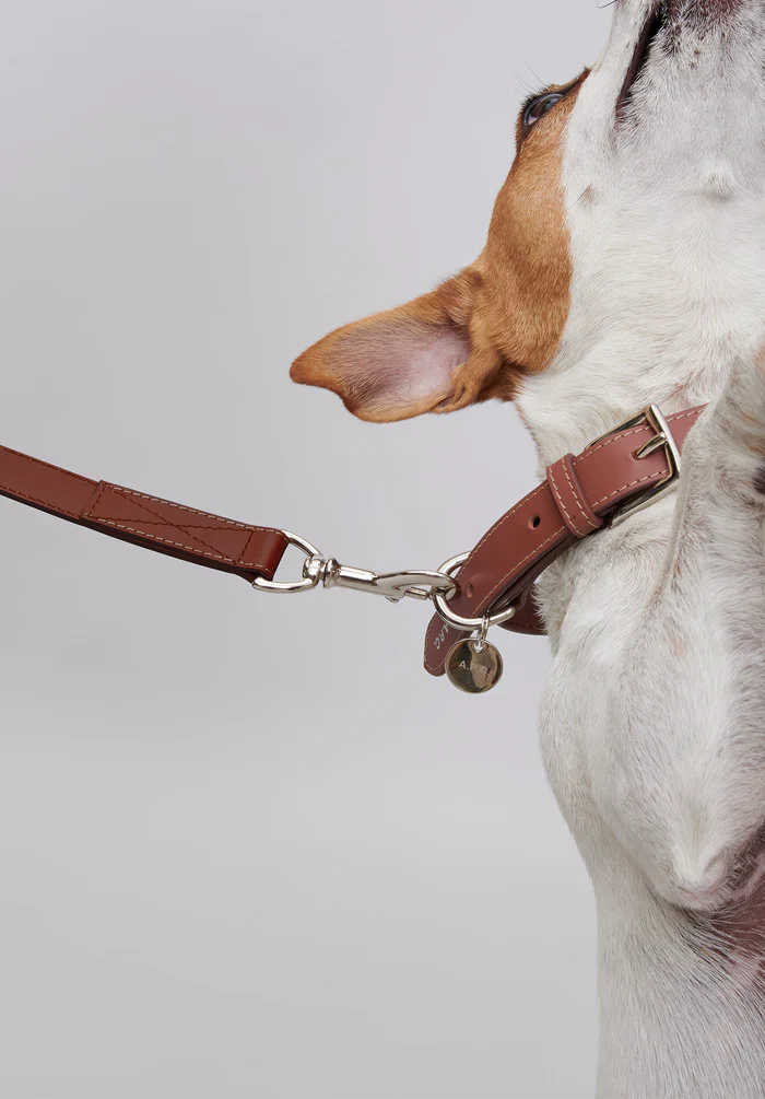 Toutou leather collar
