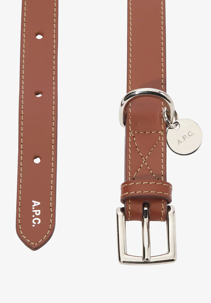 Toutou leather collar