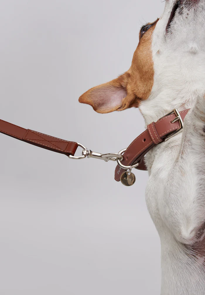 Toutou leather leash