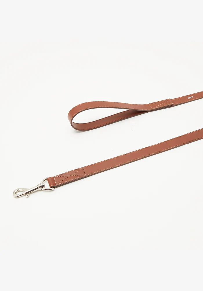 Toutou leather leash